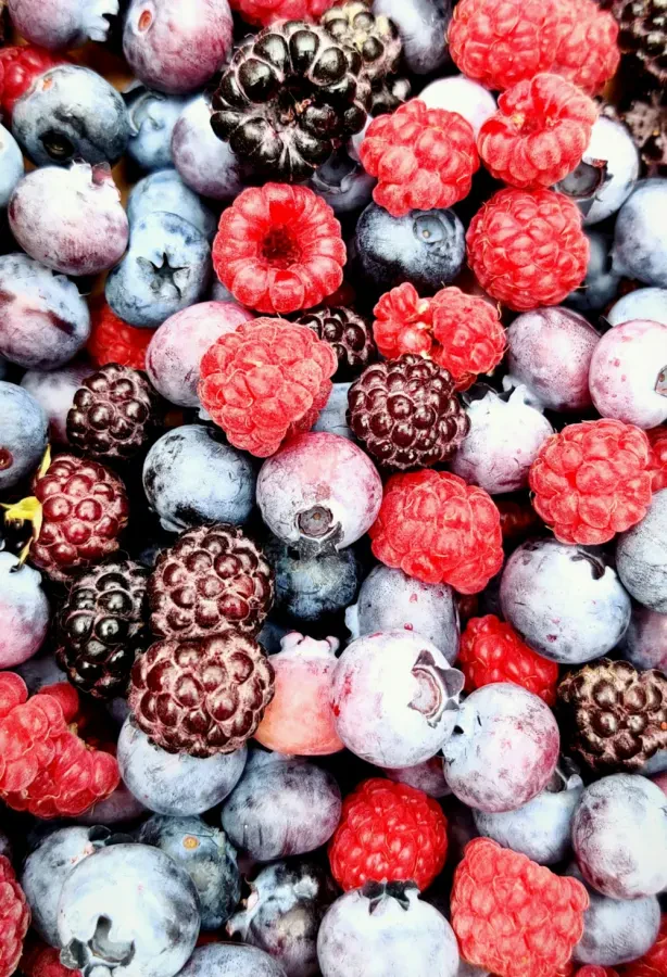 Food Manufacturers