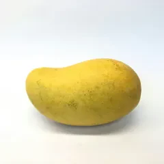 Mango — Fresh